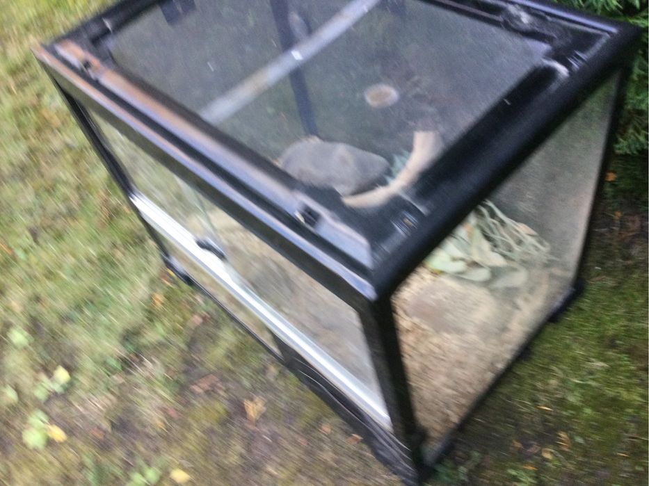 Terrarium okazja weekendowa z częściowy wyposażeniem jak na zdjęciach