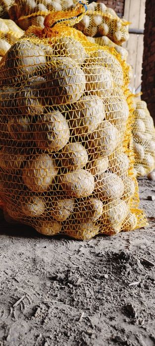 Ziemniaki swojskie prosto od rolnika Ekologiczne