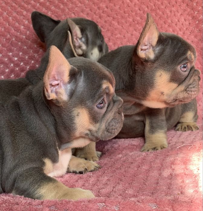 Супер мініки чекають батьків