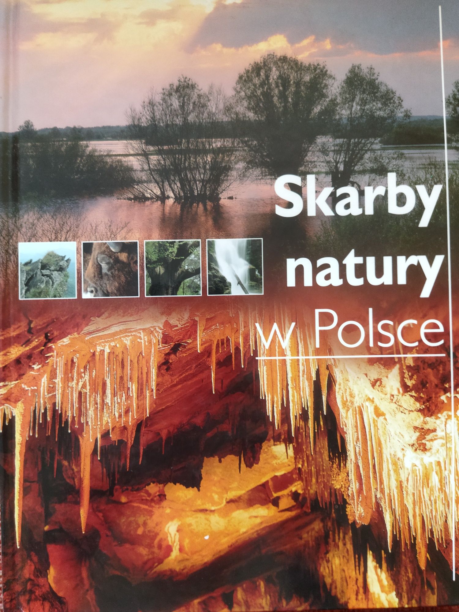 Skarby natury w Polsce