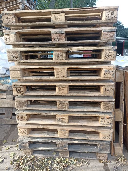 Paleta EURO EPAL II Gatunek