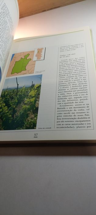 O Livro dos Vinhos - José A. Salvador, Luís Ramos