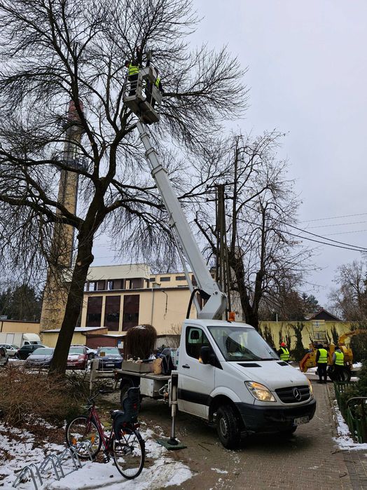 Wycinanie drzew, czyszczenie działek, usuwanie krzaków, samosiejek