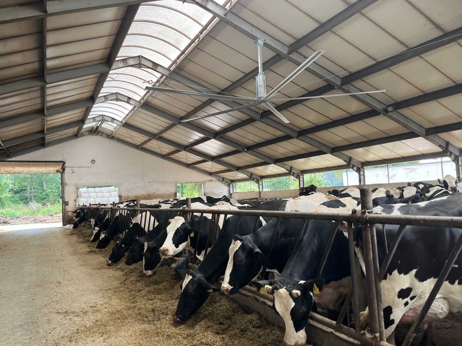 Destryfikator HELI HVLS wydajny mieszacz powietrza 2,4 - 7,3m