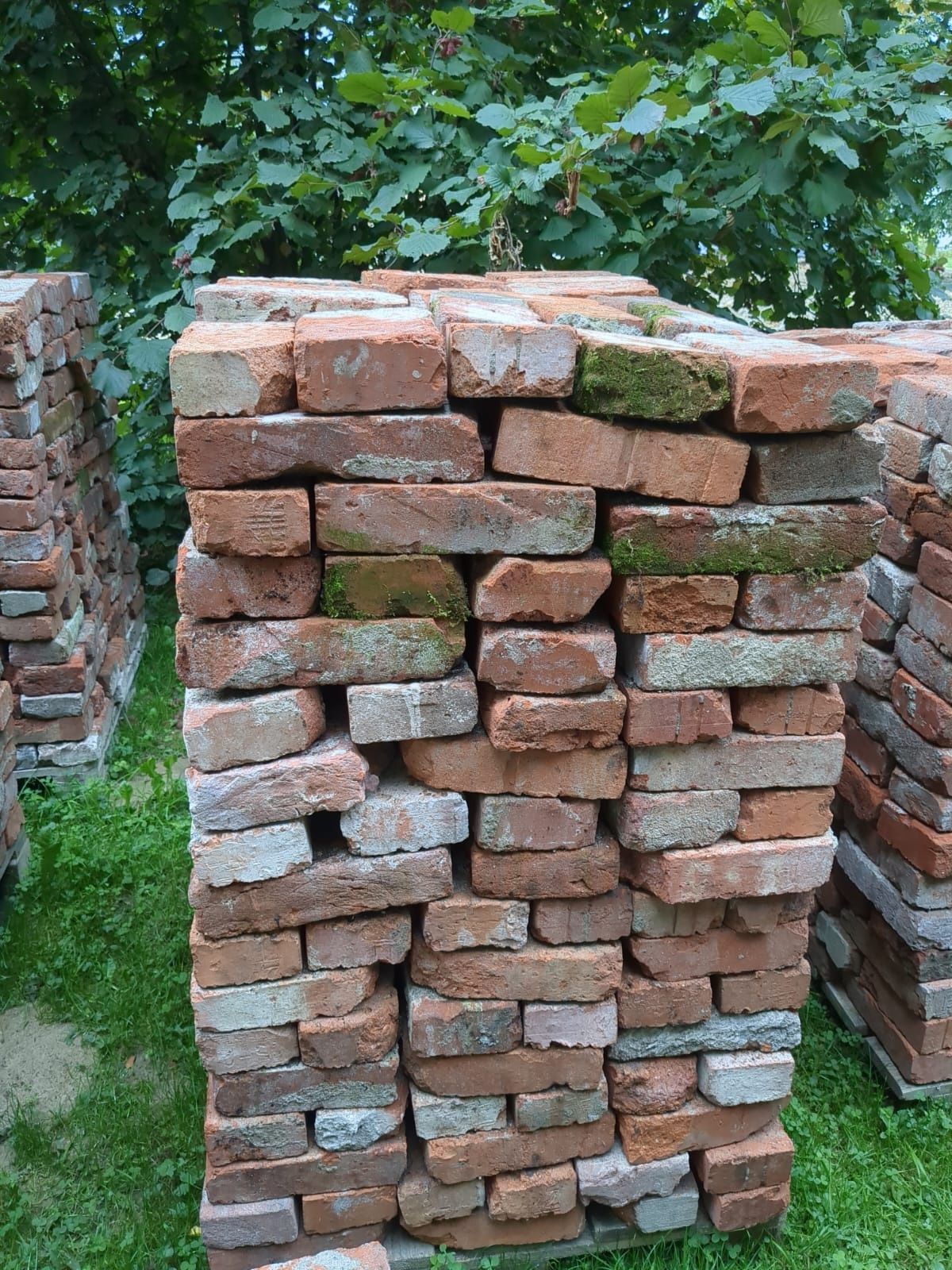 Cegła rustykalna
