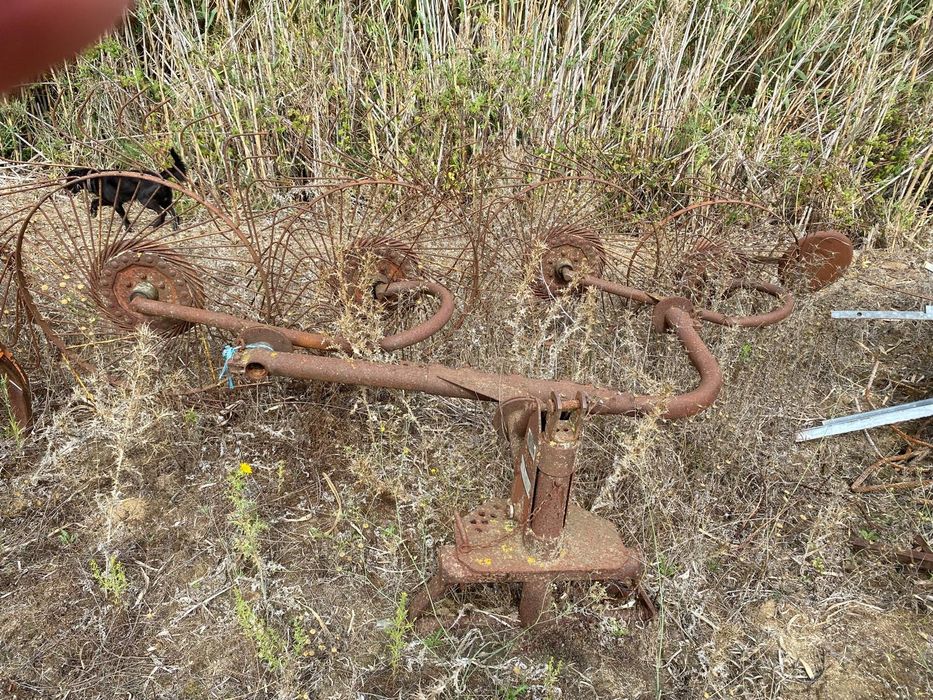 Preço na descrição - Charruas Galucho e Girassol SMEA.