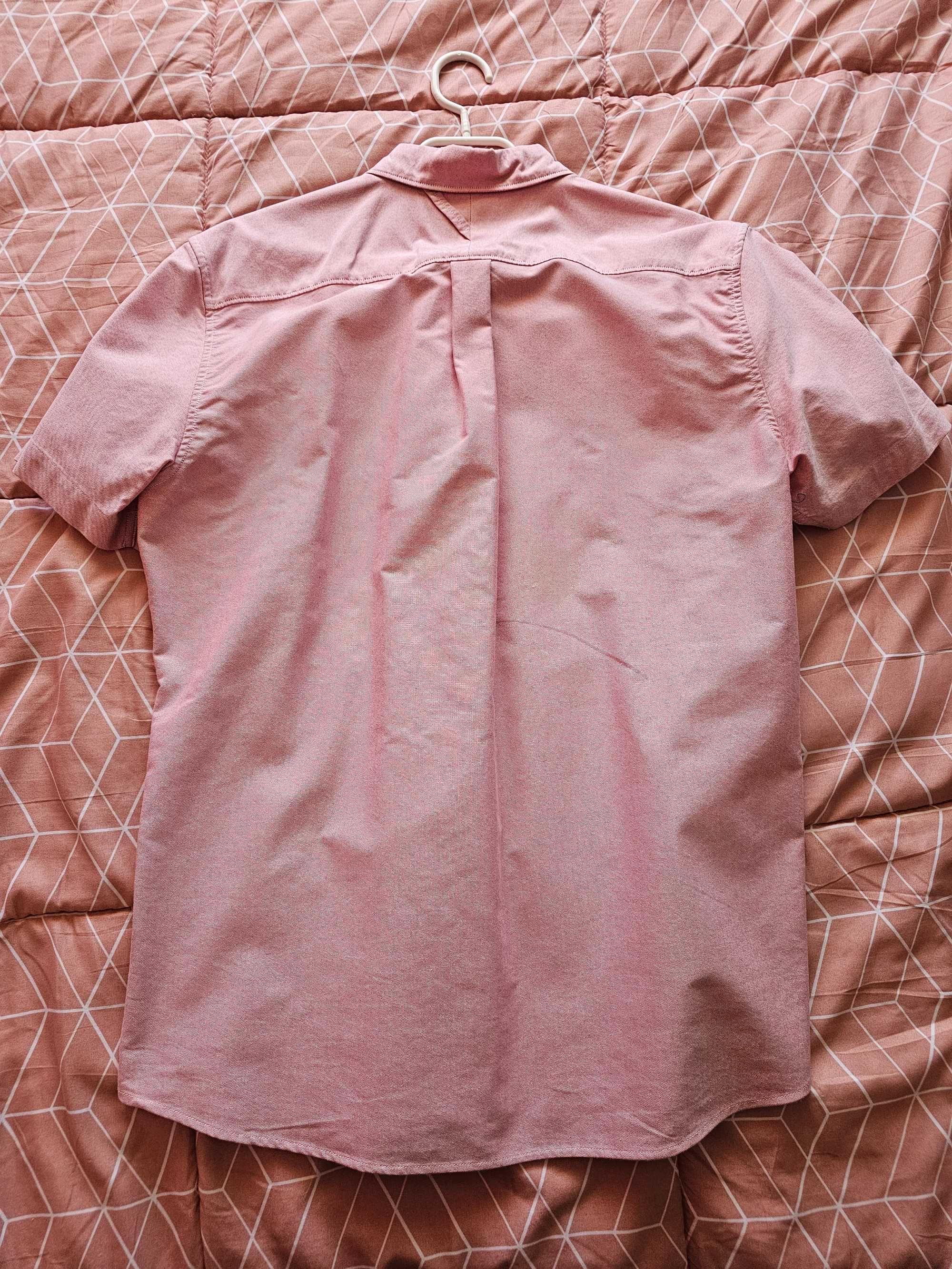 Camisa rosa Salsa homem