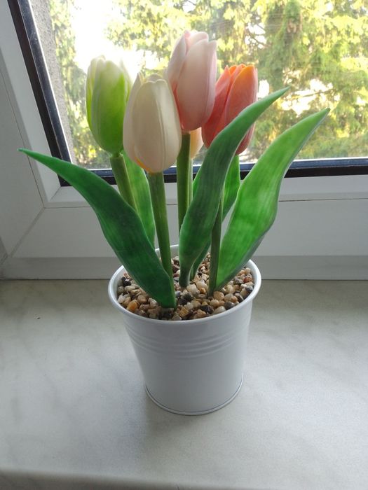 Kwiaty tulipany dekoracja w doniczce