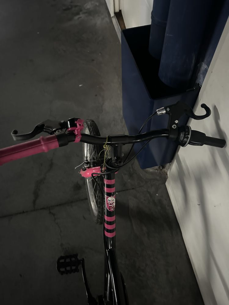 Bicicleta preta e coe de rosa