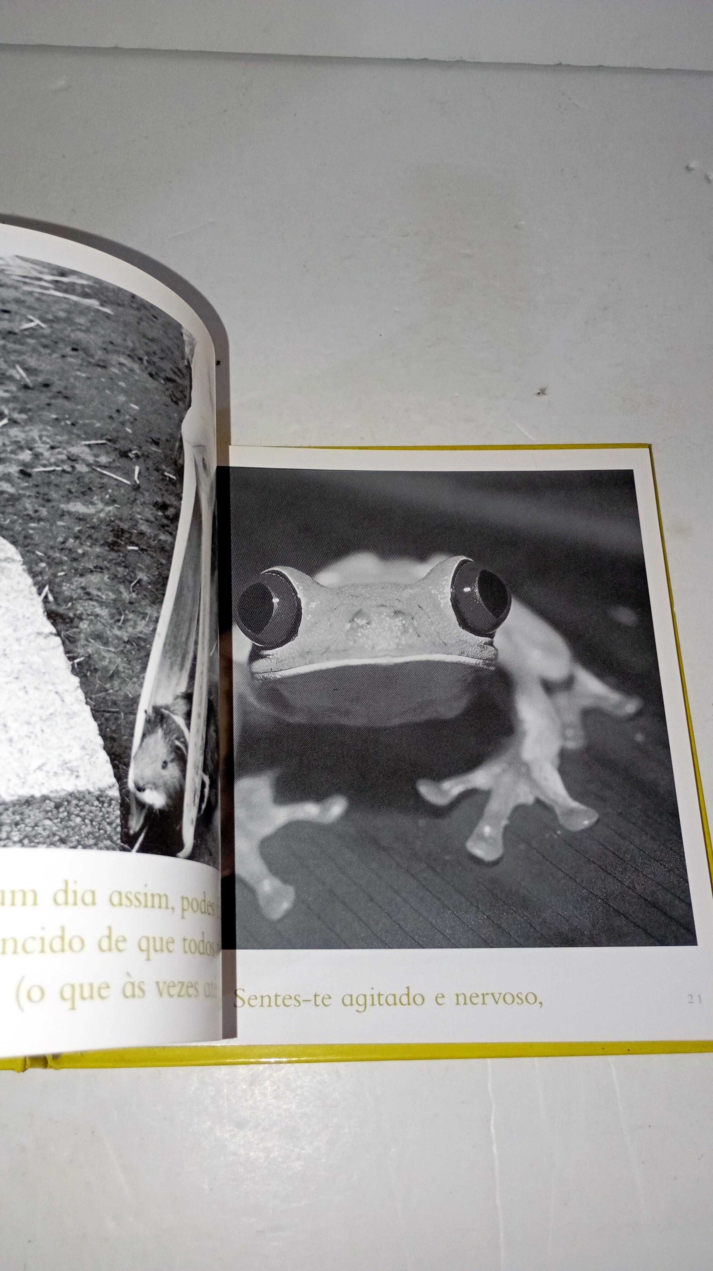 Um Dia "Daqueles", leve a vida com humor