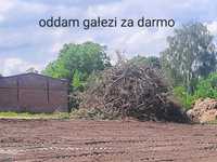 Oddam gałezi biomasa na zrębki