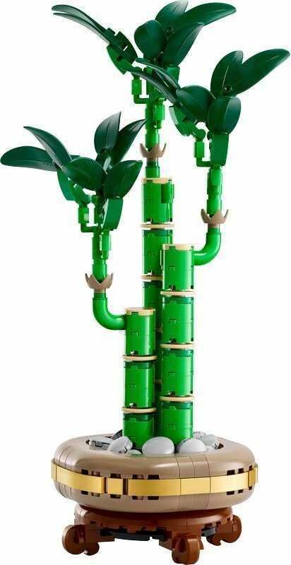 Klocki LEGO Dracena Sandera
The Botanical Collection