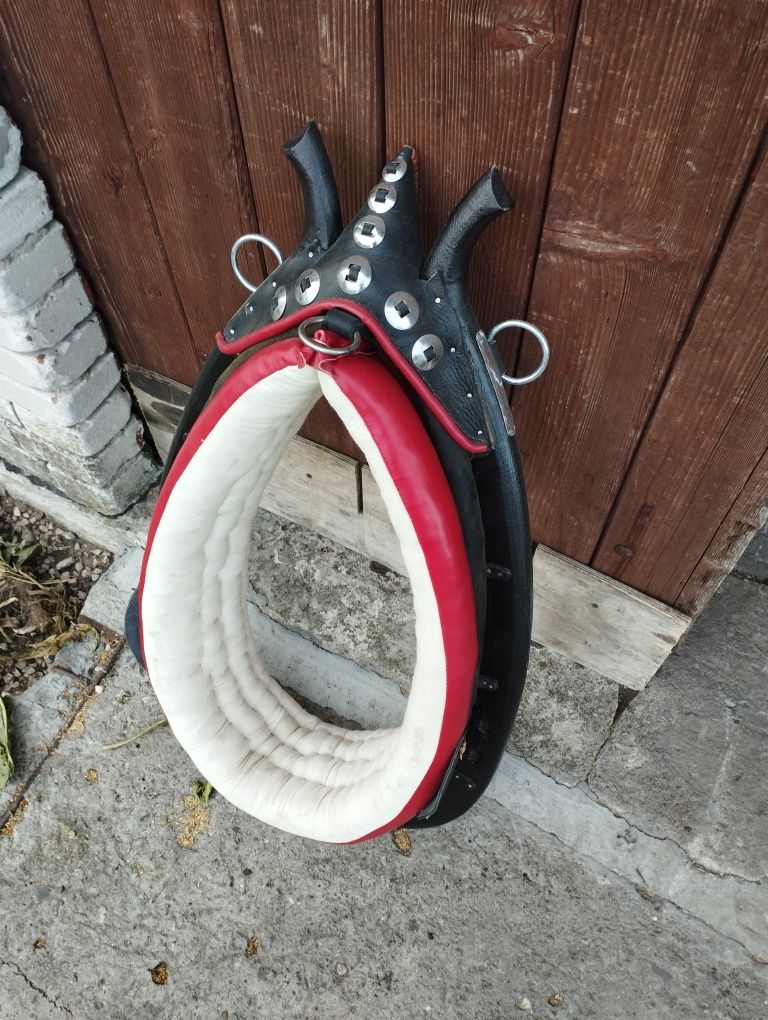 Chomonta 29 cali  chomąta homonto