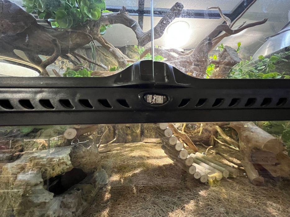 Тераріум Exoterra для королівського пітона (регіус)