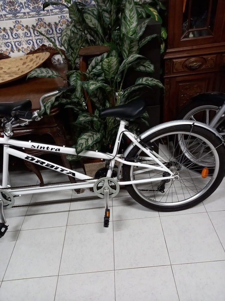 Bicicleta antiga