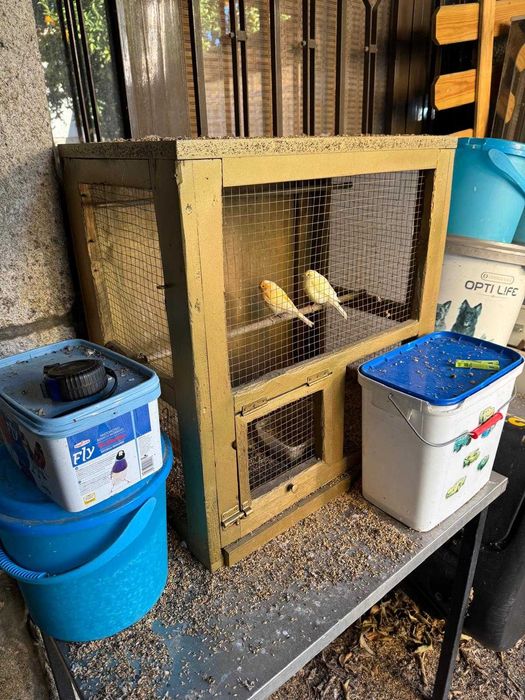 gaiolas e viveiros para aves