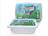 Trawka szybkorosnąca 150g