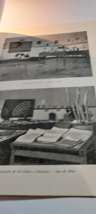 O Liceu Nacional Afonso de Albuquerque em Nova Goa - António Fernandes