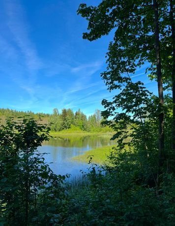 Nieruchomość leśna 9.79 ha z prywatnym stawem 0.5 ha