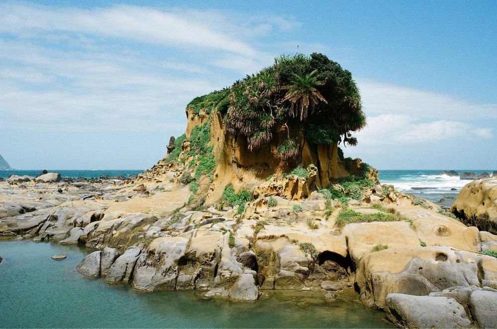 Canon A-1 with Canon nFD 50mm f1.4