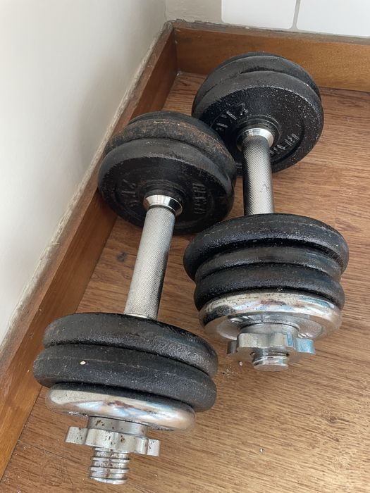 Par de alteres com 10kg cada um