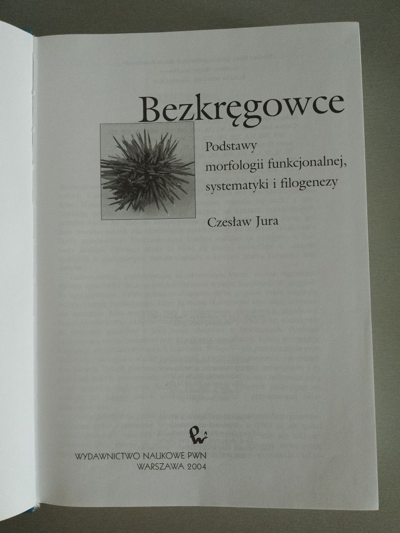 Czesław Jura Bezkregowce 2004 stan b. dobry