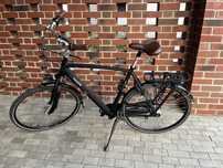 Rower holenderski Gazelle Orange C7+ H61 (179-195 cm)