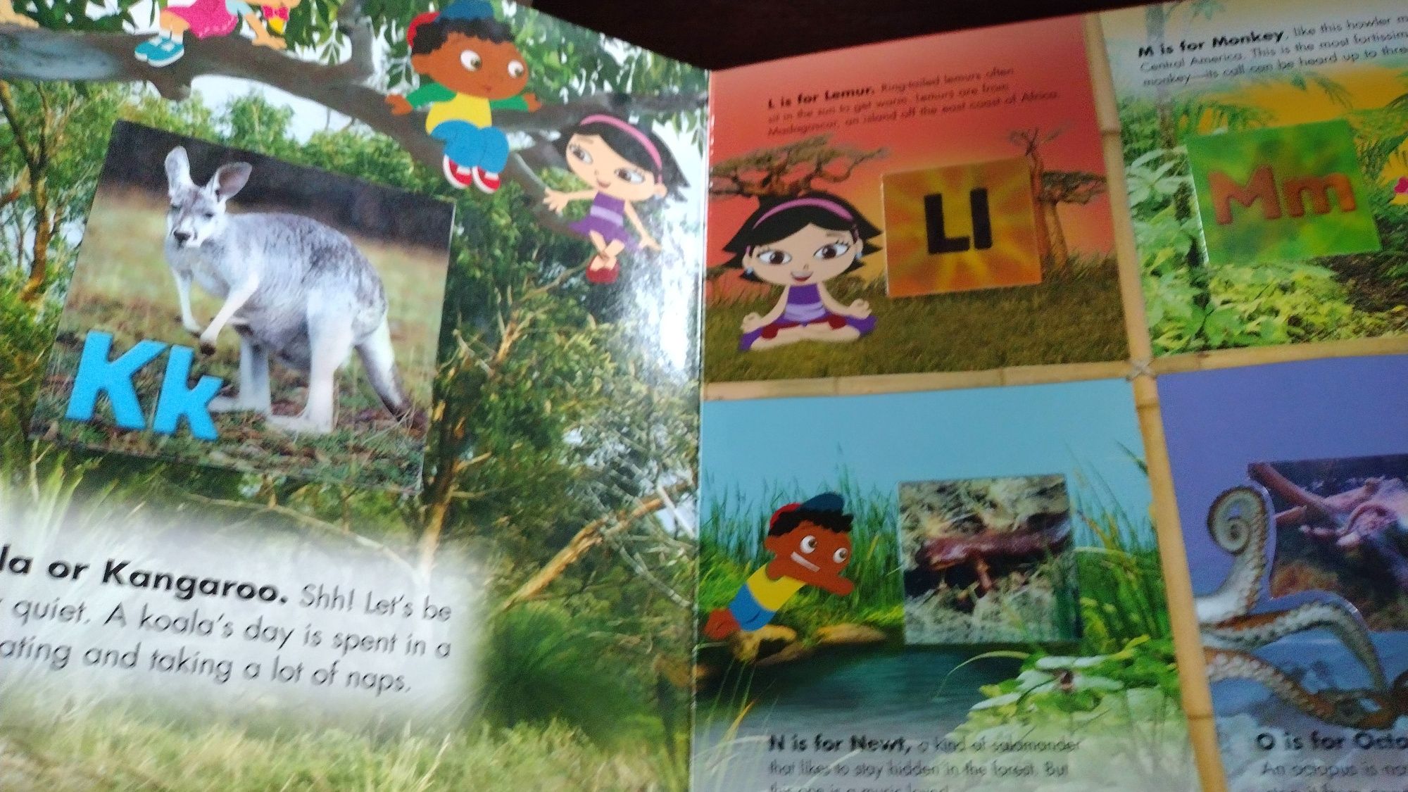 Animal alphabet kolorowa książeczka dla dzieci po angielsku.