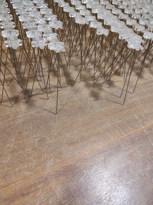 Espigão para pombos