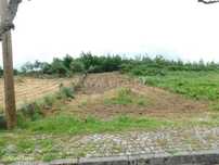 Terreno para Construção / Oliveira do Hospital, Travanca de Lagos