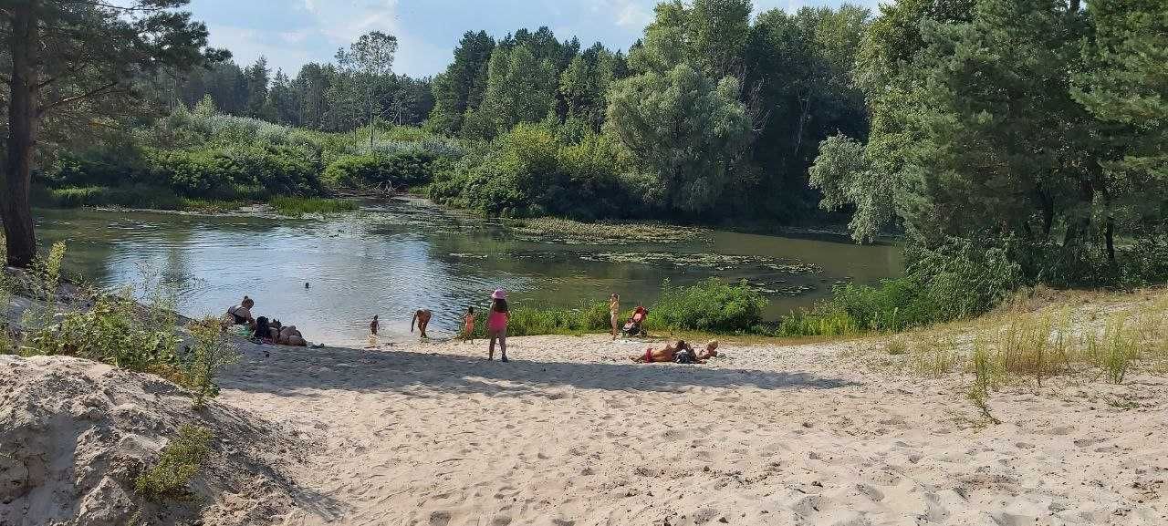 Унікальна ділянка 25 соток Лебедівка (вже проведено електрику та воду)