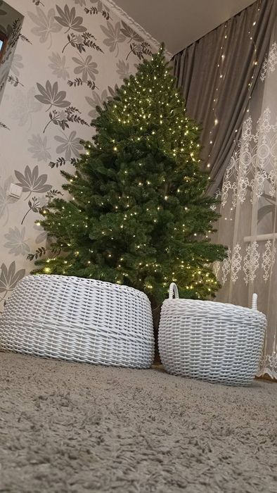 Продам ялинку Ковалівську литу