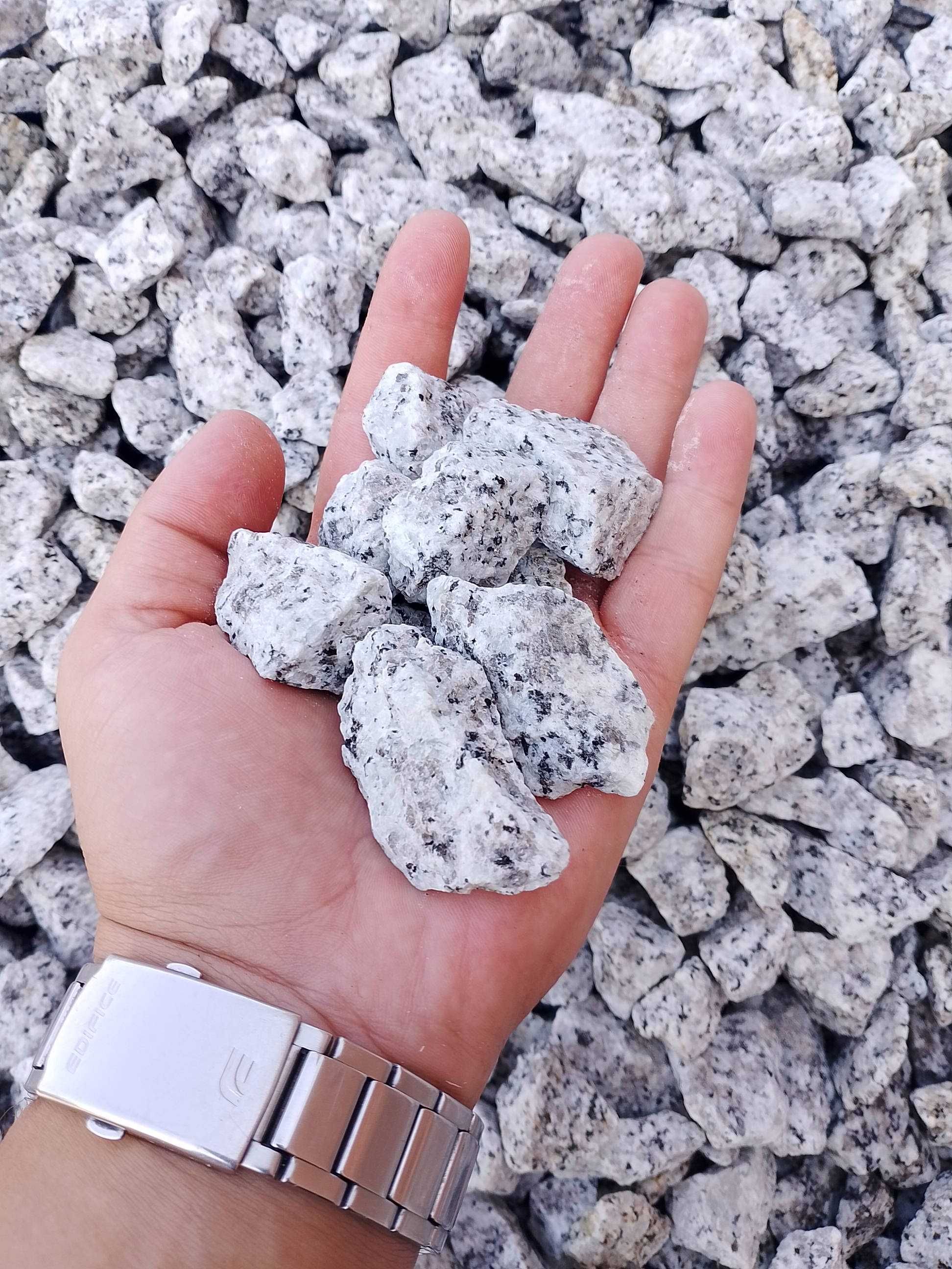 Grys Granitowy "Dalmatyńczyk"/Kamienie ozdobne w SUPER CENIE!