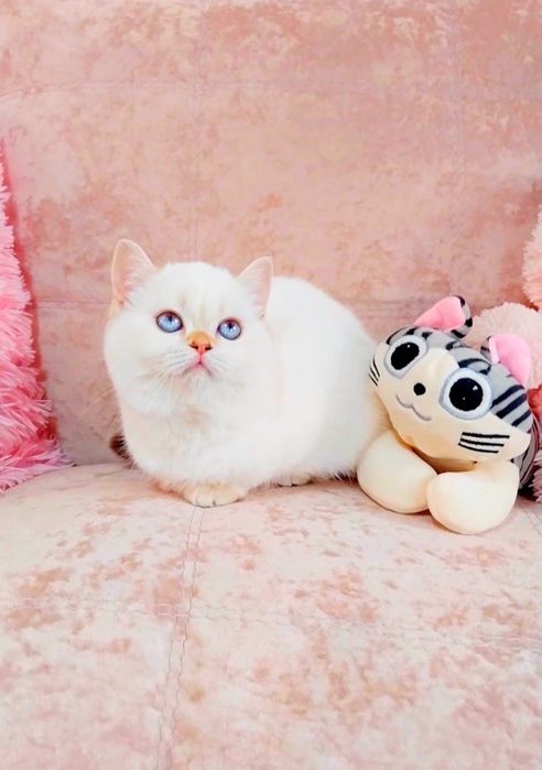 Казкова дівчинка неймовірна мазунка