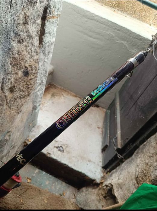 Cana de pesca vega 4.50