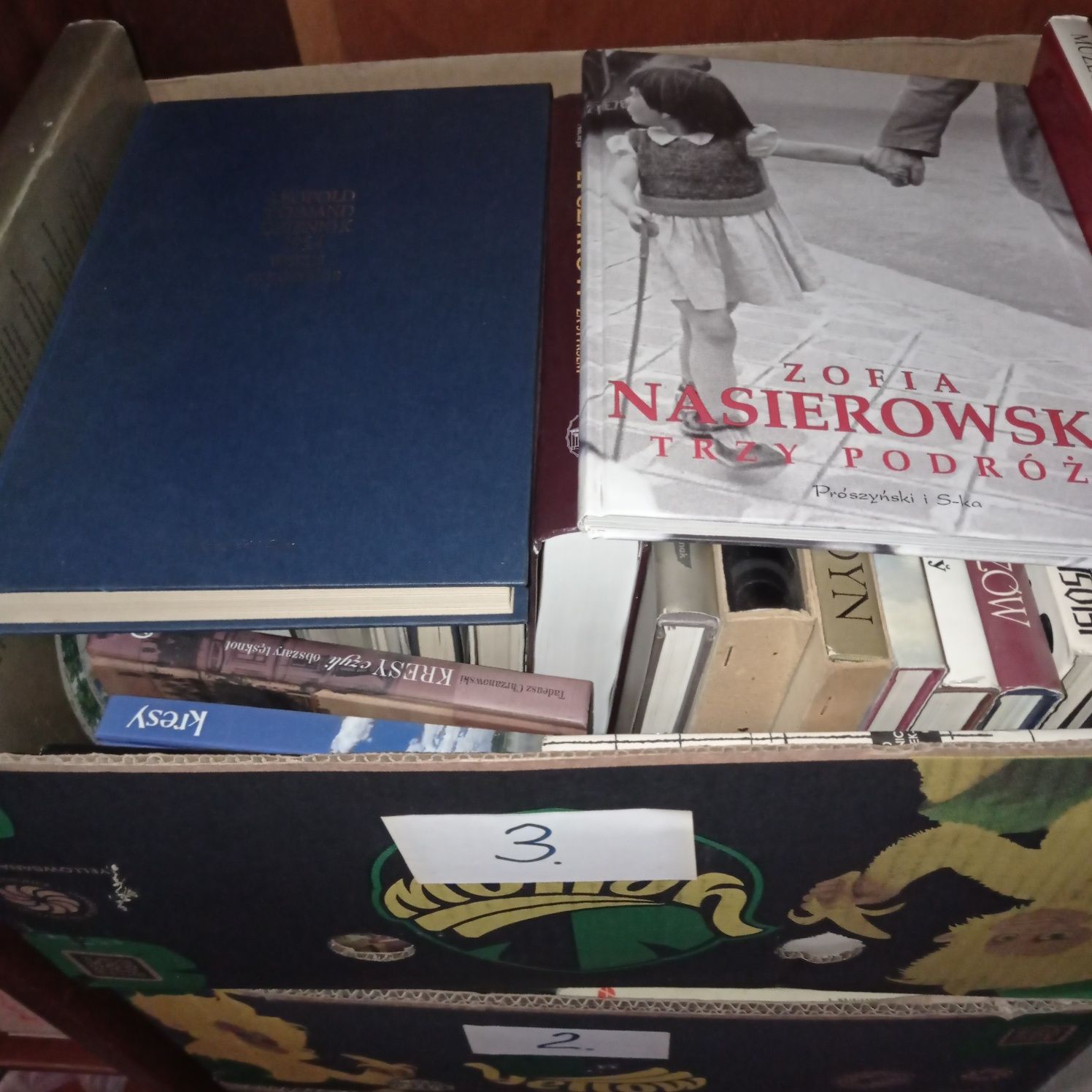 Zofia Nasierowska Trzy podróże