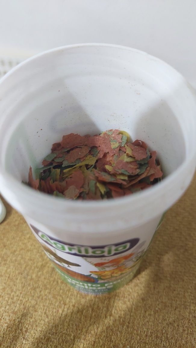 Ração peixe de água fria