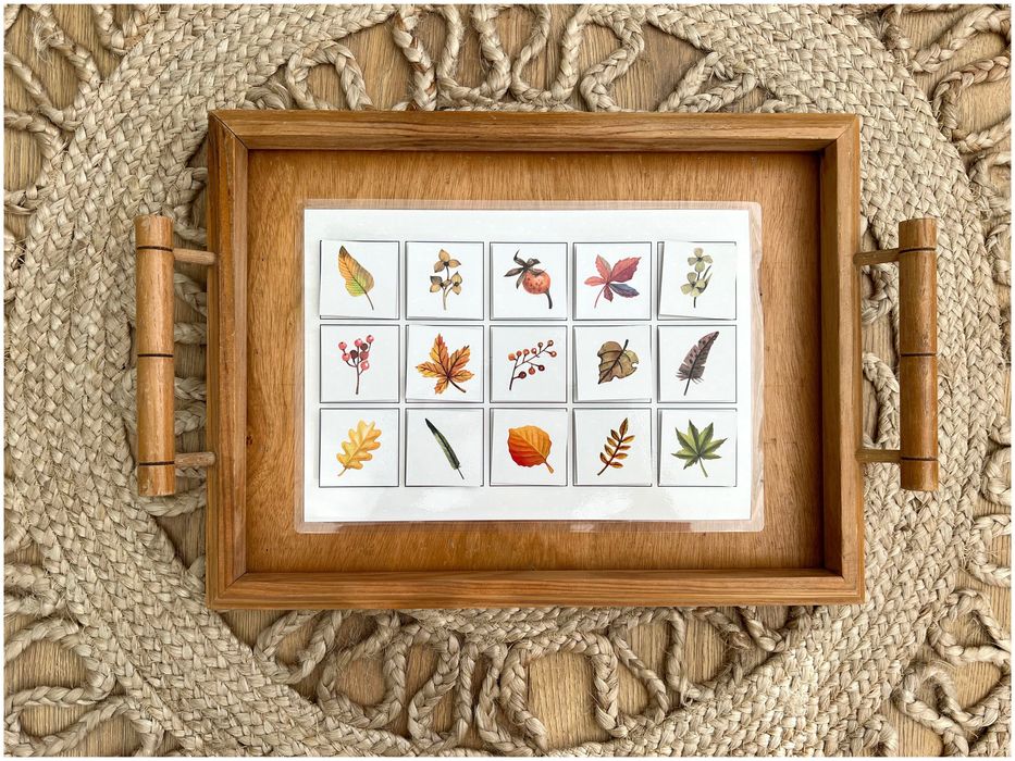 Encontra a minha sombra - Folhas