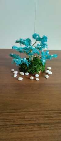 Drzewko szczęścia -bonsai