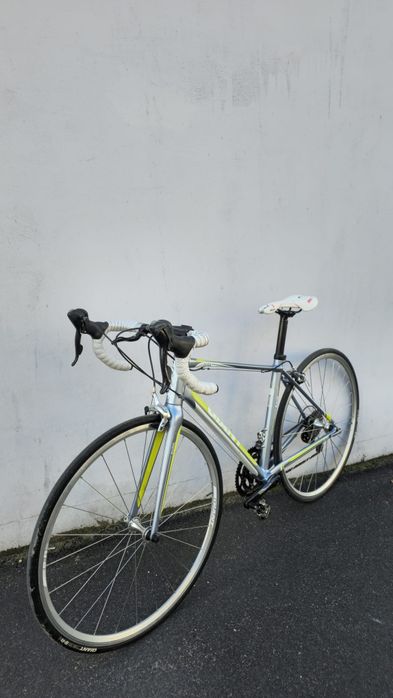 Szosa kolażówka Giant Avail