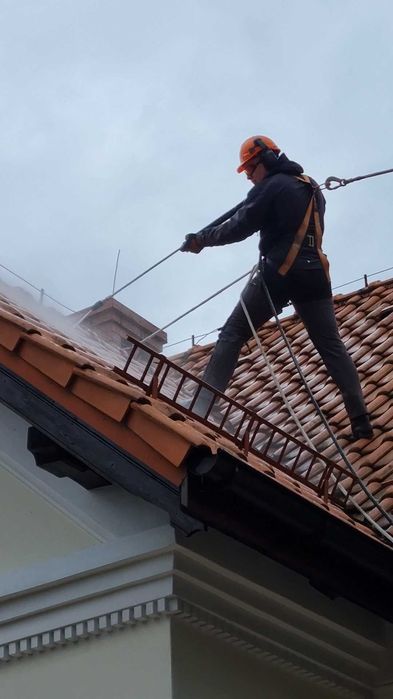 wycinka drzew przycinanie krzewów tui mycie kostki kosznie