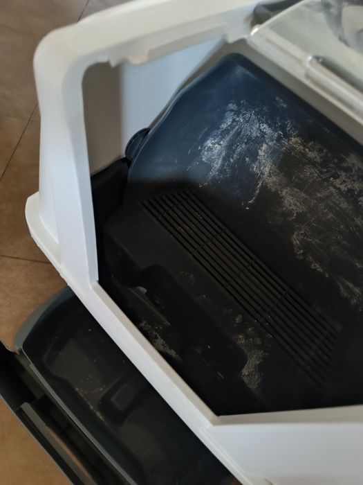 Caixa de areia para gatos