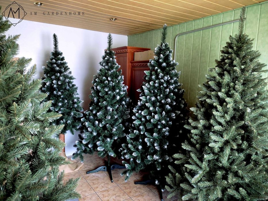 Choinki sosna diamentowa na pniu lub pełna 180 i 220 cm. BARDZO GĘSTE