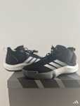 Adizero select team Basketball