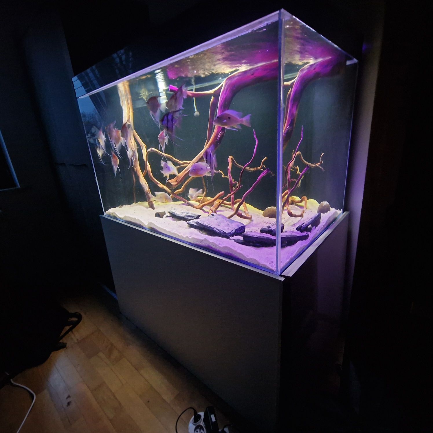 Akwarium zbiornik 600l sump samp