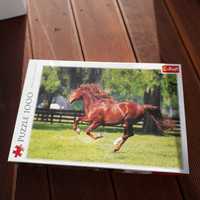 Puzzle trefl 1000 koń w galopie