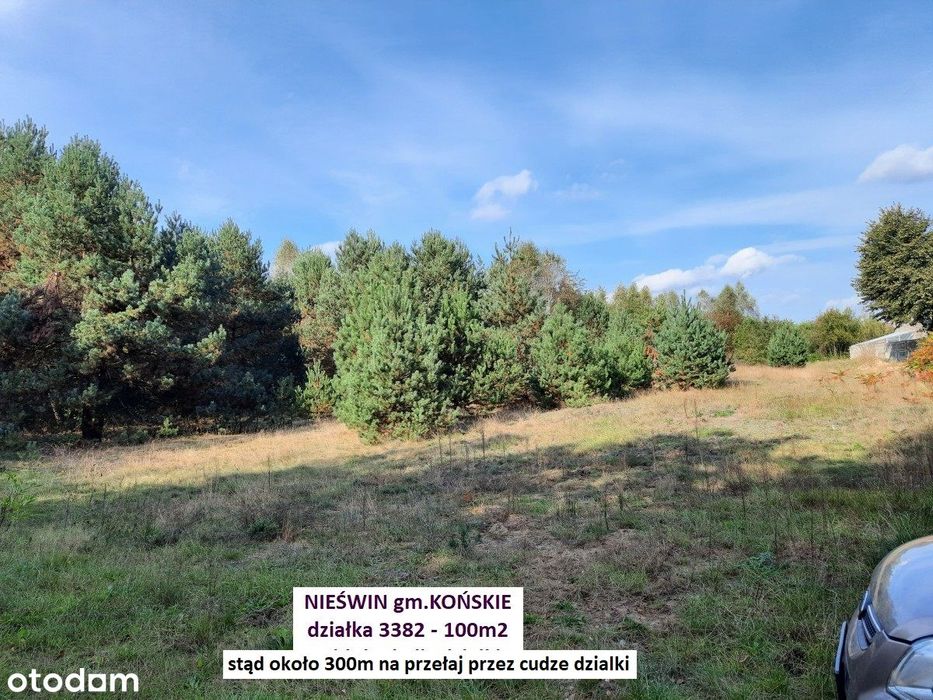 Najtańsza działka rolna 100m2 tylko 1.450zł (działka bez dojazdu)