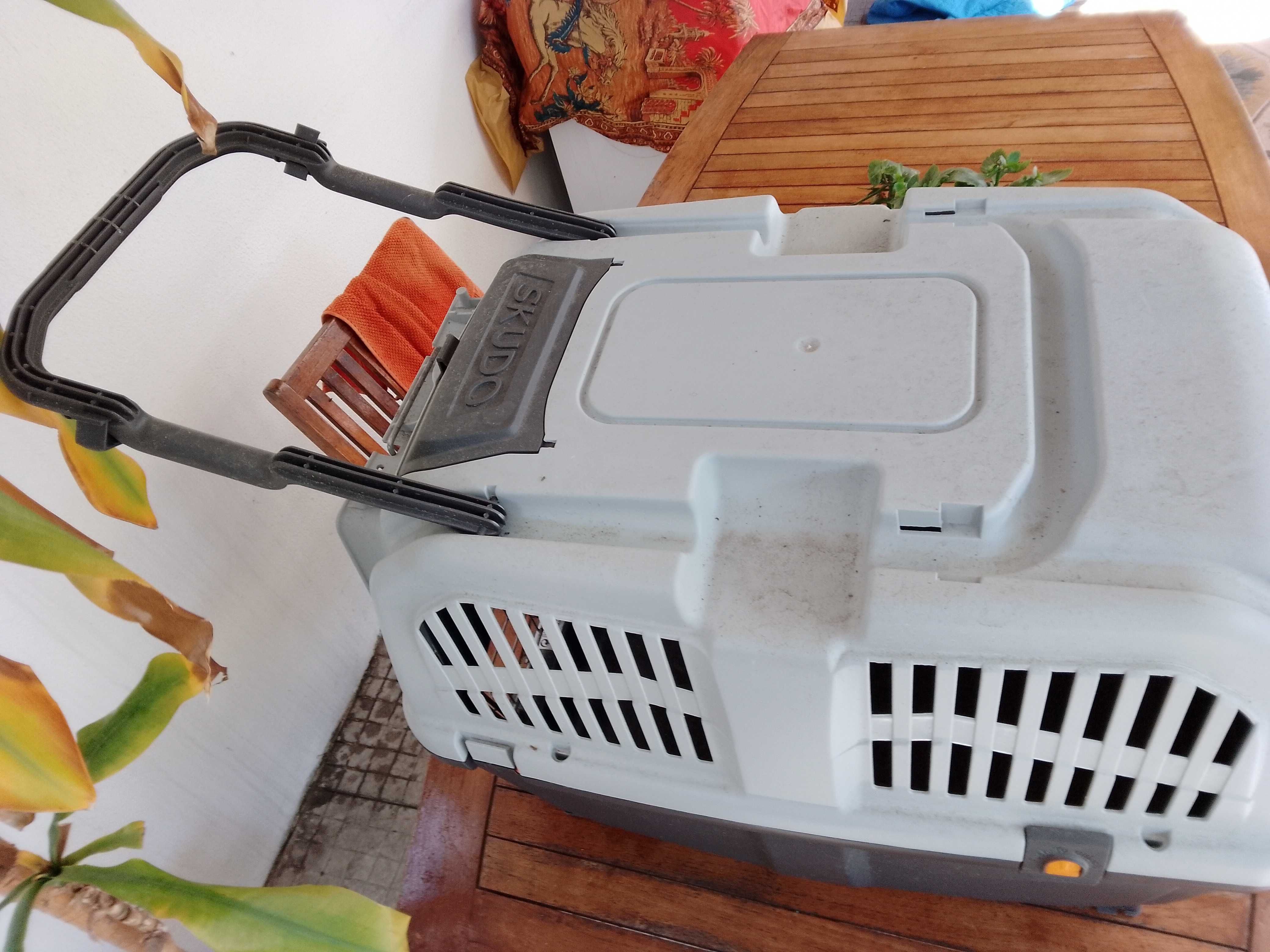 Transportadora Skudo, acinzentada.