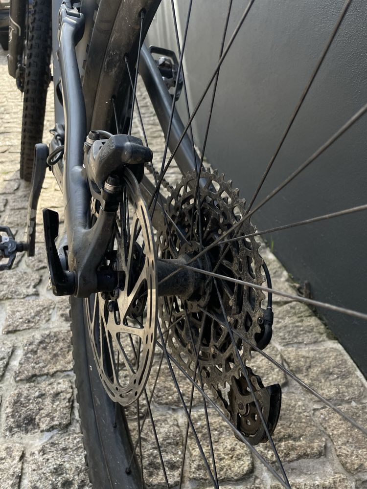 Specialized Status 160 S4