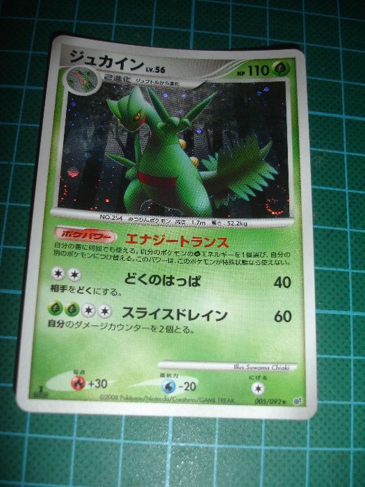 Carta Pokemon Sceptile Holo 2008 JPN